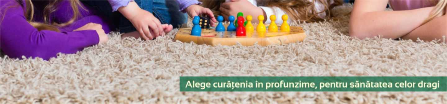 Spalatoria de covoare Bada-Bing - imagine1