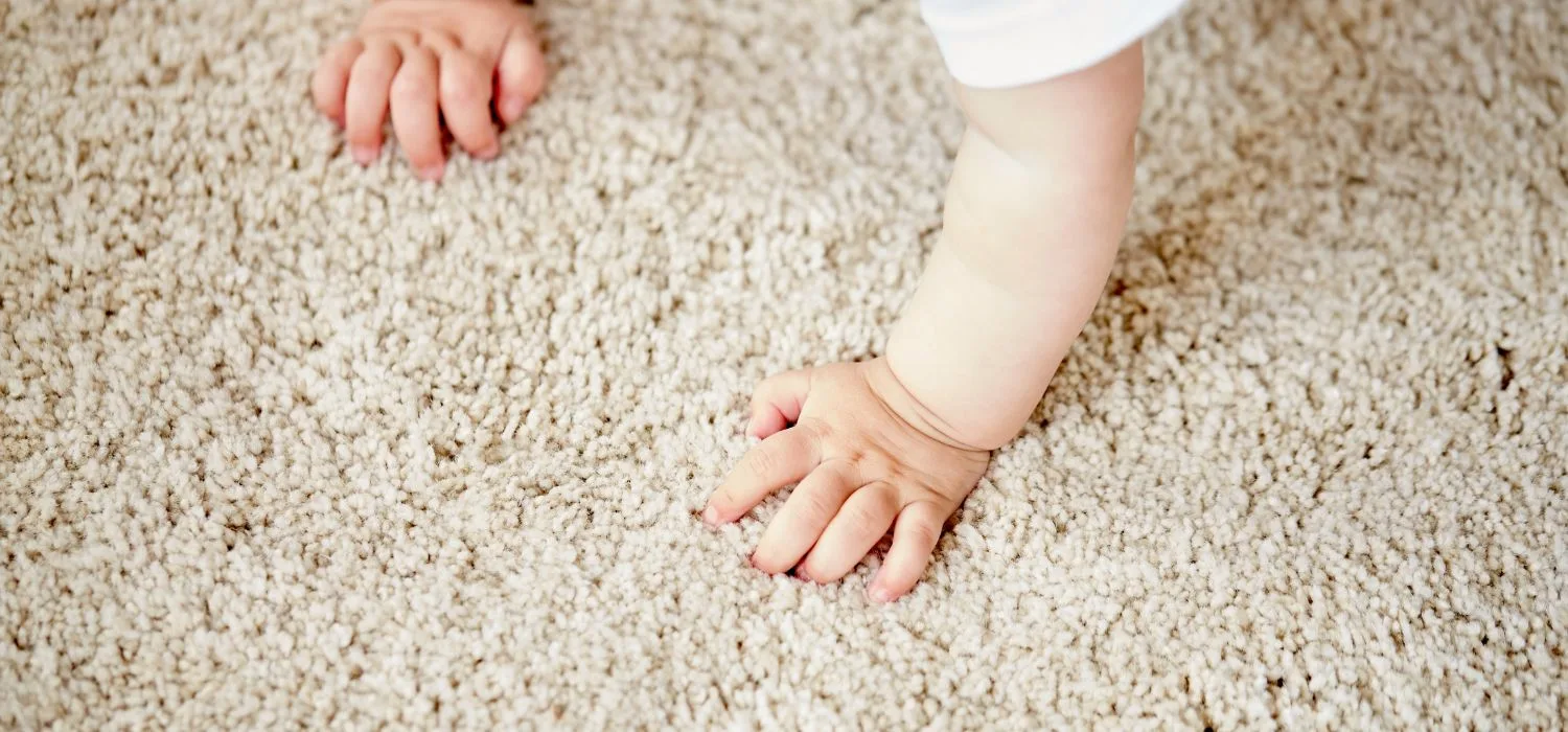 Spalatoria de covoare Bada-Bing – Spalatorie covoare Brasov | Spalatoria de covoare Bada Bing Brasov | Spalatoria de covoare Bada Bing Brasov